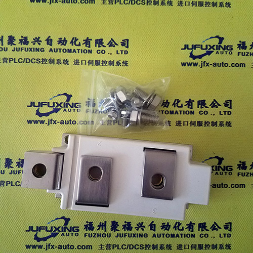 D3006YS